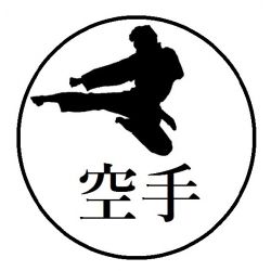 Jointy J9 -KARATE