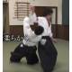 DVD Poursuivons l'Aikido N°2 SIRAKAWA Ryuji