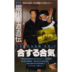 dvd daito aikido nishikido